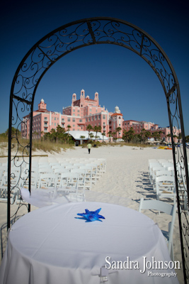 Best Don Cesar Wedding photographer - Sandra Johnson (SJFoto.com)
